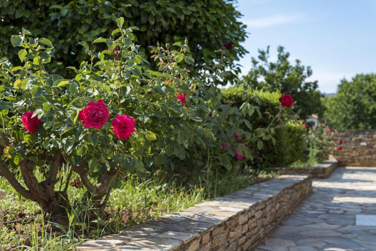 Harmony Seaside Pelion Apartamento Platanias  Exterior foto